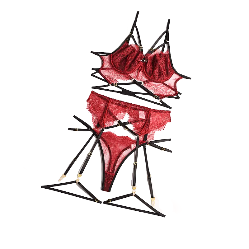 Sheer Bra Lace - Lingerie renda seksi transparan, pakaian dalam